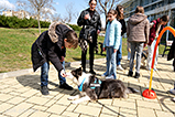 DSCF7853.jpg