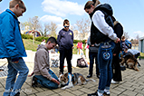 DSCF7856.jpg