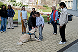 DSCF7866.jpg