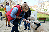 DSCF7882.jpg