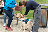 DSCF8274.jpg