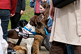 DSCF8276.jpg