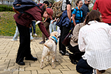 DSCF8277.jpg