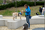 DSCF8279.jpg