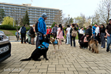 DSCF8291.jpg