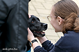 DSCF8300.jpg