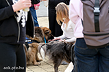 DSCF8302.jpg