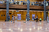 DSCF8519.jpg