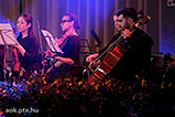 DSCF9420.jpg