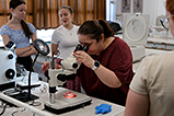 DSCF3729.jpg