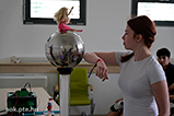 DSCF6403.jpg