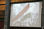 IMG_4785.jpg