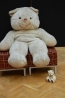 teddy_152.jpg