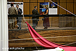 IMG_3090.jpg