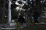 IMG_6575.jpg