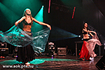IMG_09529.jpg