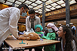IMG_9072.jpg