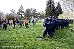 IMG_9595.jpg