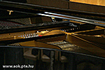 IMG_1066.jpg