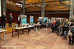 IMG_1652.jpg