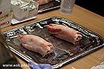 IMG_1673.jpg