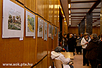 IMG_3751.jpg