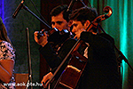 IMG_5959.jpg