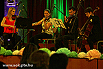 IMG_5962.jpg