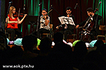IMG_5966.jpg
