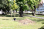 IMG_7323.jpg