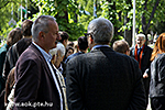IMG_7331.jpg