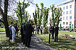 IMG_7374.jpg