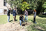 IMG_7377.jpg
