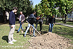 IMG_7382.jpg