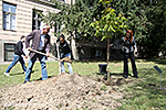 IMG_7390.jpg