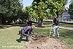 IMG_7392.jpg