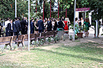 IMG_9153.jpg