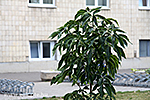 IMG_9166.jpg