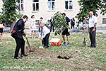 IMG_9178.jpg