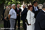 IMG_1229.jpg