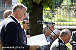 IMG_1243.jpg