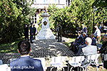 IMG_1249.jpg