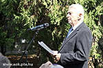 IMG_1267.jpg
