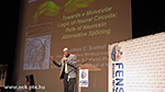 ANAT_0087.jpg