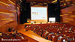 ANAT_0239.jpg