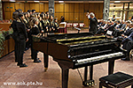 IMG_2873.jpg