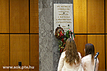 IMG_3436.jpg