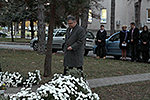 IMG_4142.jpg