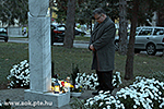 IMG_4145.jpg