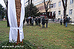 IMG_4630.jpg